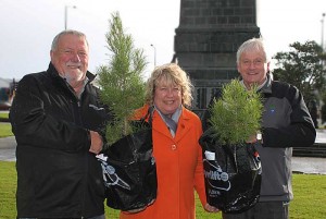 Gallipoli pines for Southland