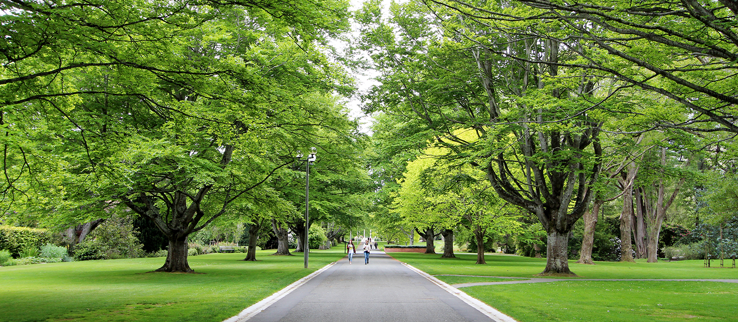 Queens Park Invercargill City Council