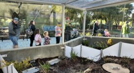 Tuatara enclosure